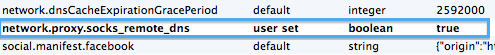 firefox_socks_dns.png